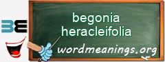WordMeaning blackboard for begonia heracleifolia